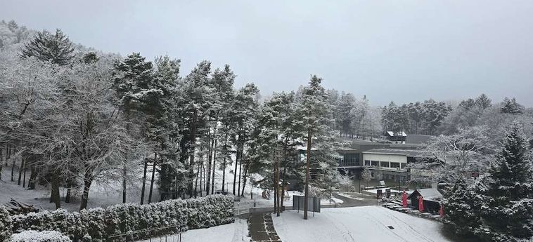Hotel Habakuk Maribor: Foto 