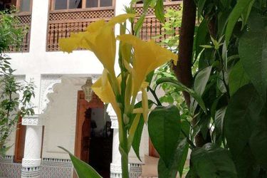 Hotel Riad Ben Youssef Marrakech: Photo 