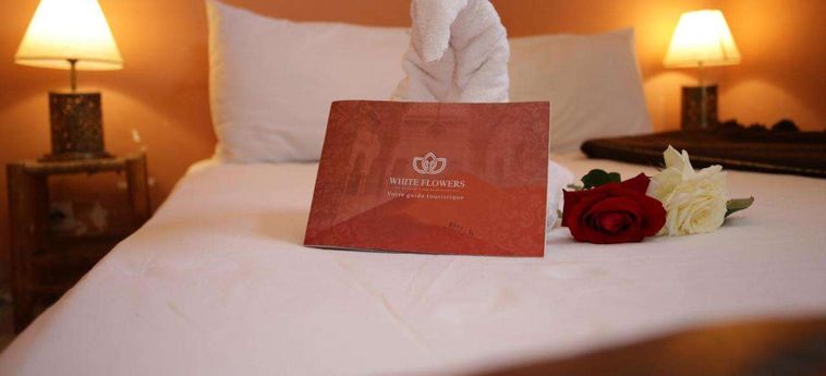 Hotel Riad White Flowers:  MARRAKECH