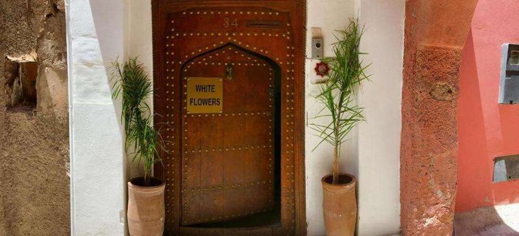 Hotel Riad White Flowers Marrakech: Foto 