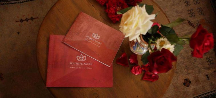 Hotel Riad White Flowers Marrakech: Photo 