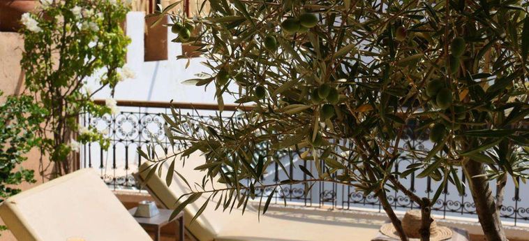 Hotel Riad Dar Massai Marrakech: Foto 