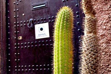 Hotel Riad Dar Massai Marrakech: Photo 