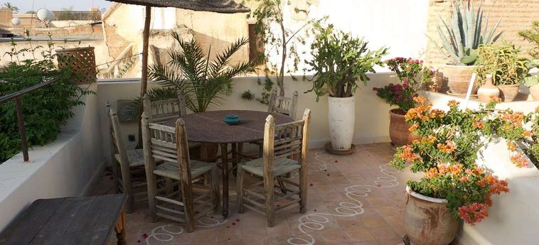 Hotel Riad Le Coq Fou Marrakech: Photo 