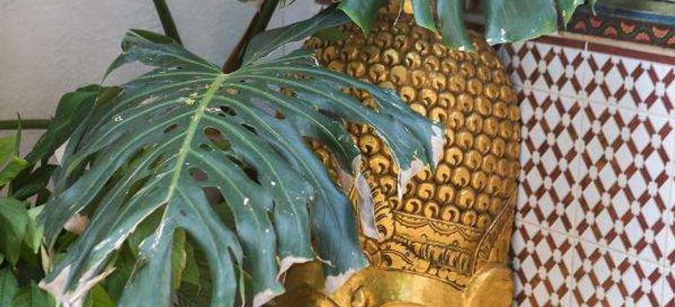 Hotel Riad Villa Harmonie Marrakesch: Foto 