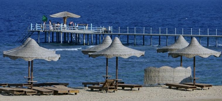 Hotel The Three Corners Happy Life Beach Resort Marsa Alam: Photo 