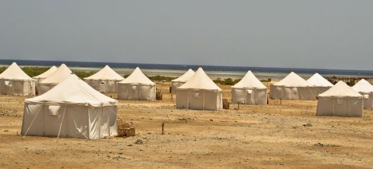 Hotel Wadi Lahami Village Marsa Alam: Photo 