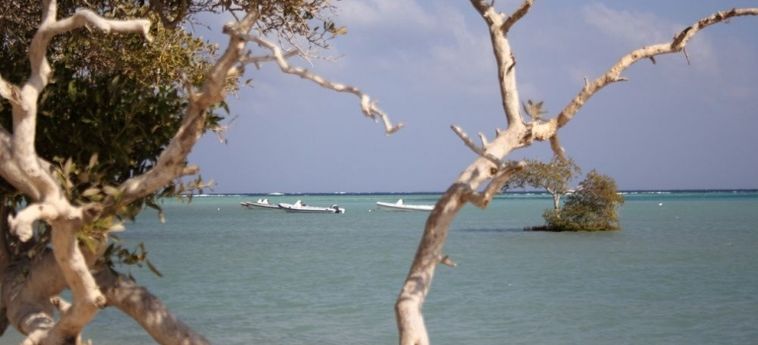 Hotel Wadi Lahami Village Marsa Alam: Photo 