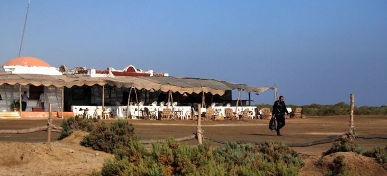 Hotel Wadi Lahami Village Marsa Alam: Photo 