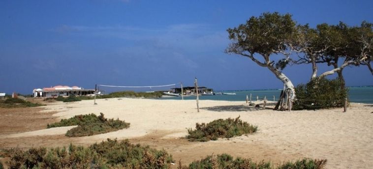 Hotel Wadi Lahami Village Marsa Alam: Photo 