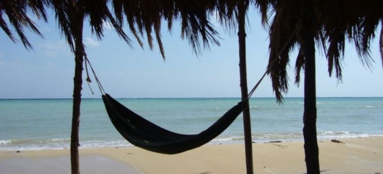 Hotel Wadi Lahami Village Marsa Alam: Photo 