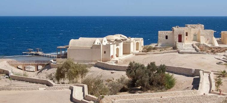 Hotel The Oasis Dive Resort  Marsa Alam : Photo 