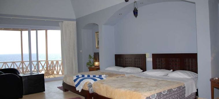 Hotel The Oasis Dive Resort  Marsa Alam : Photo 