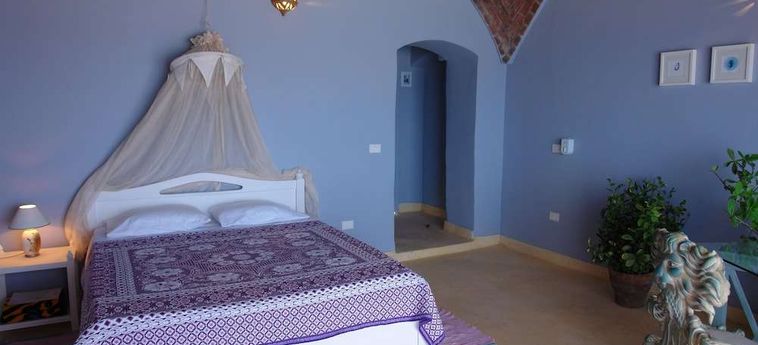 Hotel The Oasis Dive Resort  Marsa Alam : Photo 