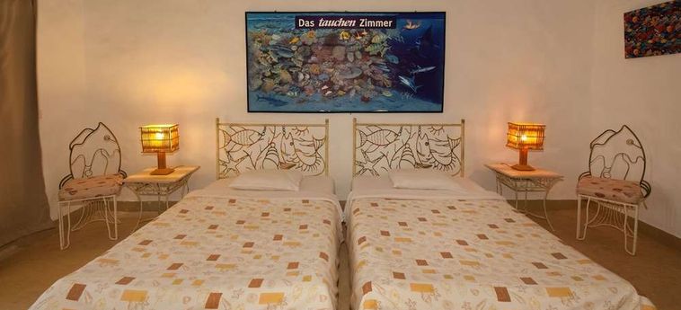 Hotel The Oasis Dive Resort  Marsa Alam : Photo 