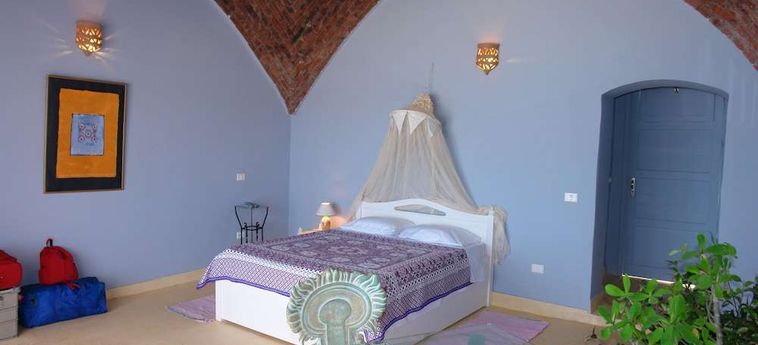 Hotel The Oasis Dive Resort  Marsa Alam : Photo 