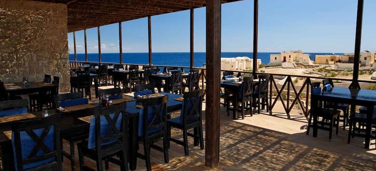 Hotel The Oasis Dive Resort  Marsa Alam : Photo 