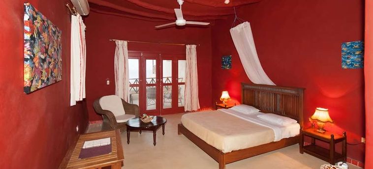 Hotel The Oasis Dive Resort  Marsa Alam: Photo 