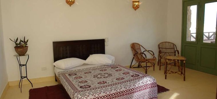 Hotel The Oasis Dive Resort  Marsa Alam: Photo 
