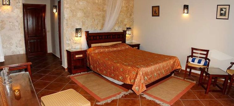 Hotel The Oasis Dive Resort  Marsa Alam: Photo 