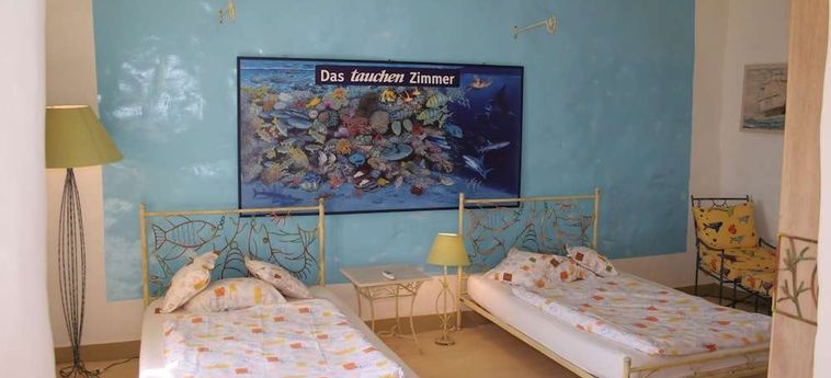 Hotel The Oasis Dive Resort  Marsa Alam: Photo 