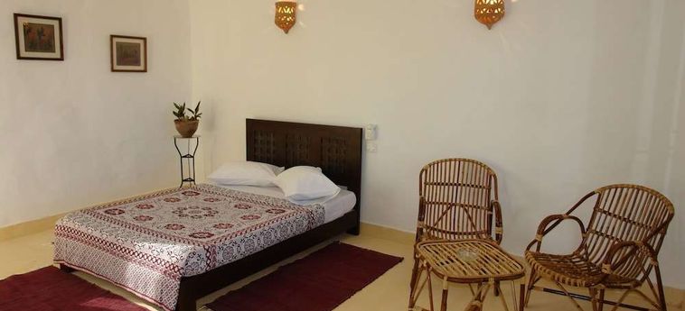 Hotel The Oasis Dive Resort  Marsa Alam: Photo 