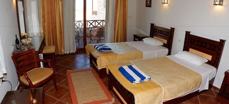 Hotel The Oasis Dive Resort  Marsa Alam: Photo 
