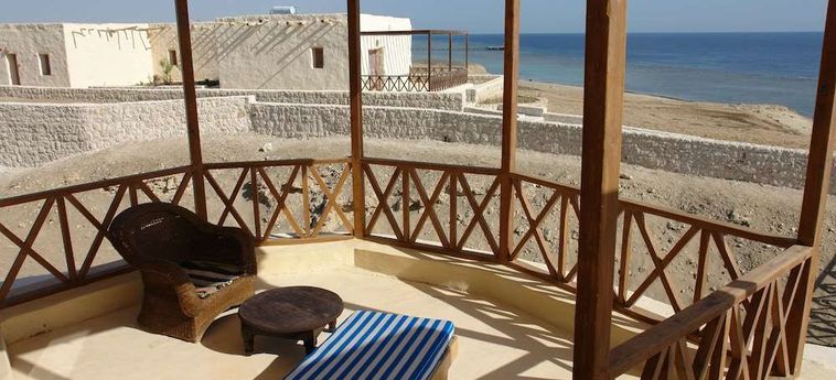 Hotel The Oasis Dive Resort  Marsa Alam: Photo 