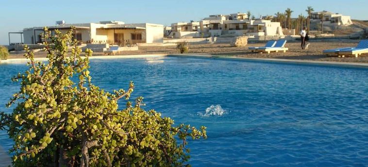 Hotel The Oasis Dive Resort  Marsa Alam: Photo 