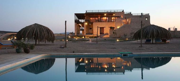 Hotel The Oasis Dive Resort  Marsa Alam: Photo 