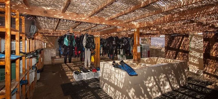 Hotel The Oasis Dive Resort  Marsa Alam: Photo 
