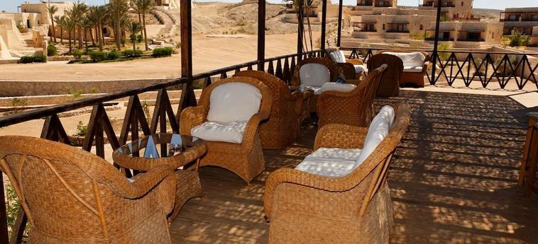 Hotel The Oasis Dive Resort  Marsa Alam: Photo 