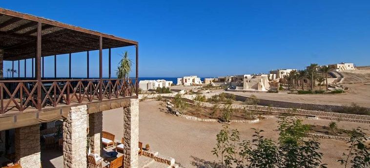 Hotel The Oasis Dive Resort  Marsa Alam: Photo 