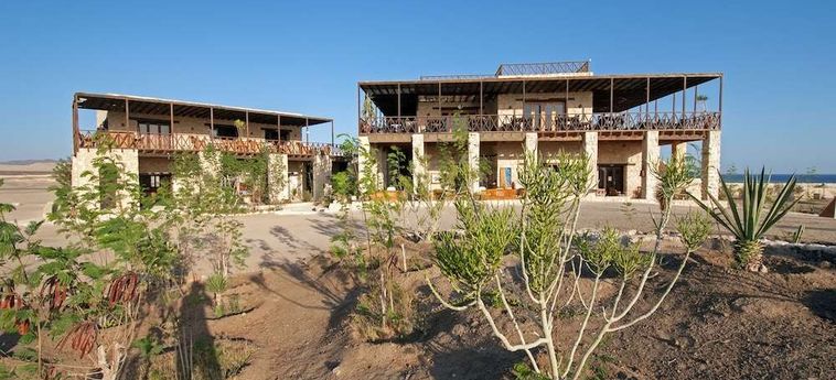Hotel The Oasis Dive Resort  Marsa Alam: Photo 