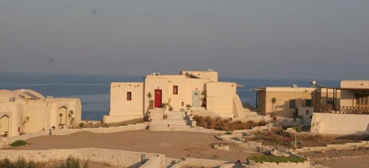 Hotel The Oasis Dive Resort  Marsa Alam: Photo 