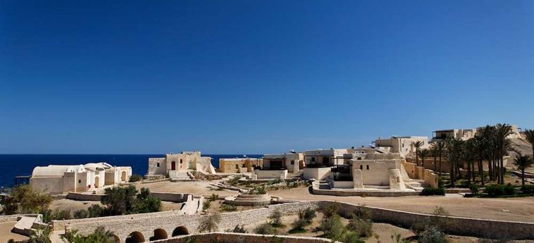 Hotel The Oasis Dive Resort  Marsa Alam: Photo 