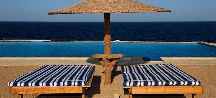 Hotel The Oasis Dive Resort  Marsa Alam: Photo 