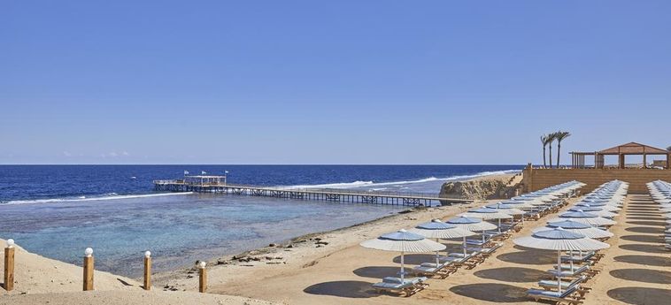 Hotel Jaz Neo Reef Marsa Marsa Alam: Photo 