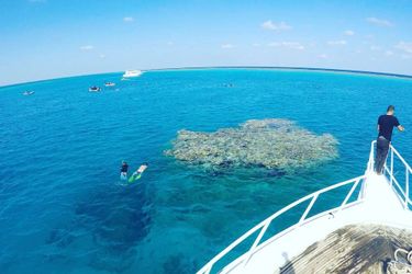 Rayhana Guest House Marsa Alam: Photo 