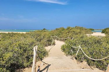 Rayhana Guest House Marsa Alam: Photo 