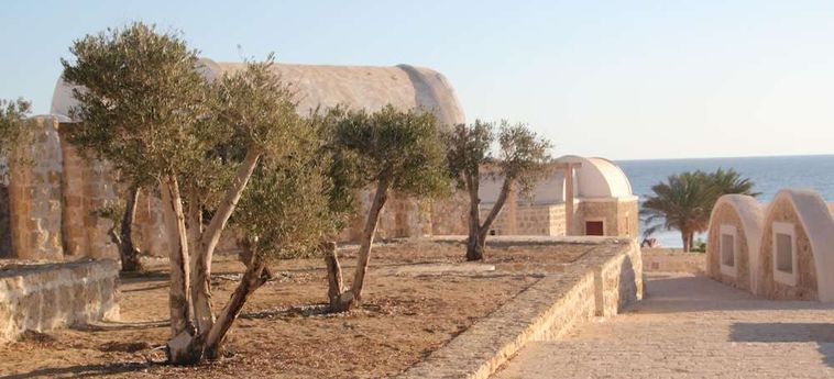 Hotel Wadi Sabarah Lodge Marsa Alam: Foto 