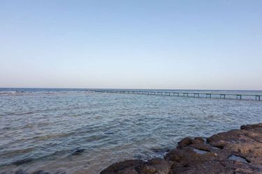 Hotel Wadi Sabarah Lodge Marsa Alam: Photo 