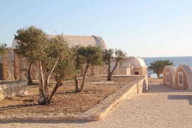 Hotel Wadi Sabarah Lodge Marsa Alam: Photo 