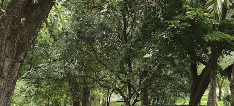 Hotel Sarova Mara Camp Masai Mara Ntl Park: Foto 