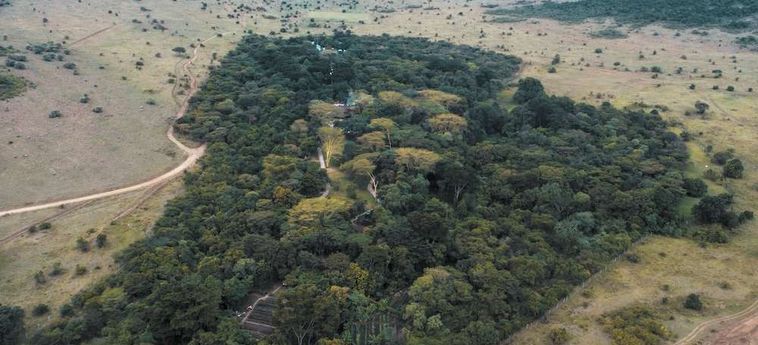 Hotel Sarova Mara Camp Masai Mara Ntl Park : Photo 