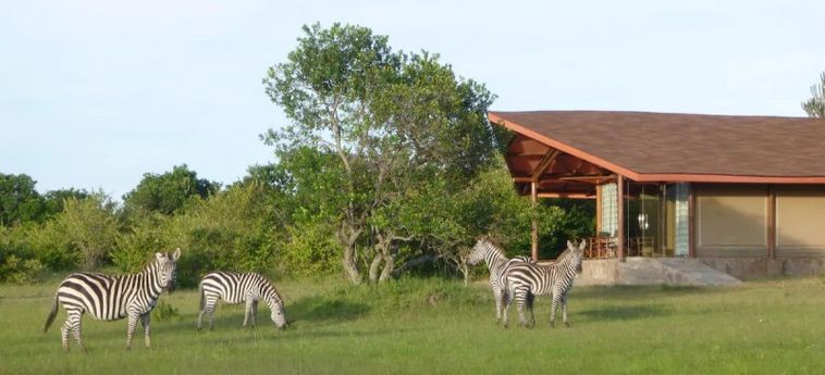 Hotel Simba + Oryx Nature Camp Masai Mara Ntl Park: Foto 