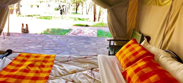 Hotel Oldarpoi Mara Camp Masai Mara Ntl Park: Photo 