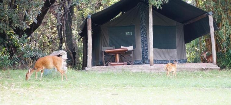 Hotel Siana Springs Tented Camp Masai Mara Ntl Park : Photo 