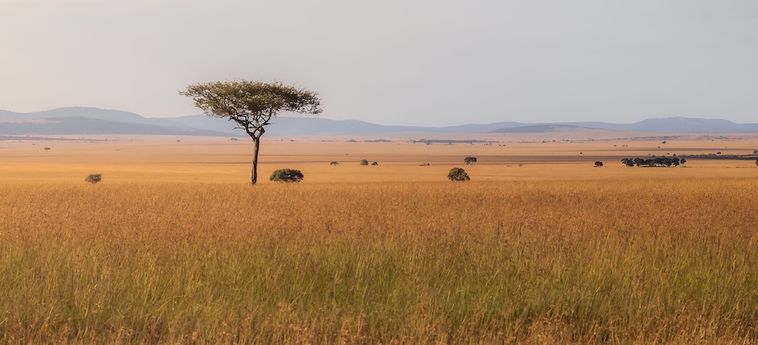 Hotel Jw Marriott Masai Mara Lodge Masai Mara Ntl Park: Foto 
