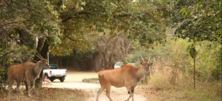 Hotel Lodge At The Ancient City Masvingo: Foto 